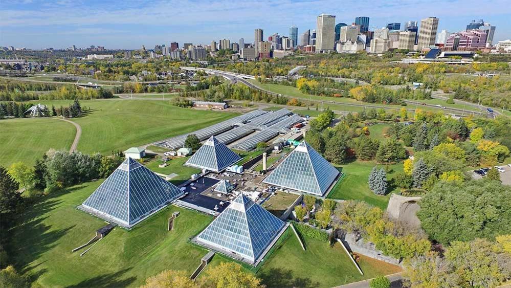Bright Modern Home - King Bed - Free Parking - Fireplace - Fast Wi-Fi - Free Netflix Edmonton Buitenkant foto